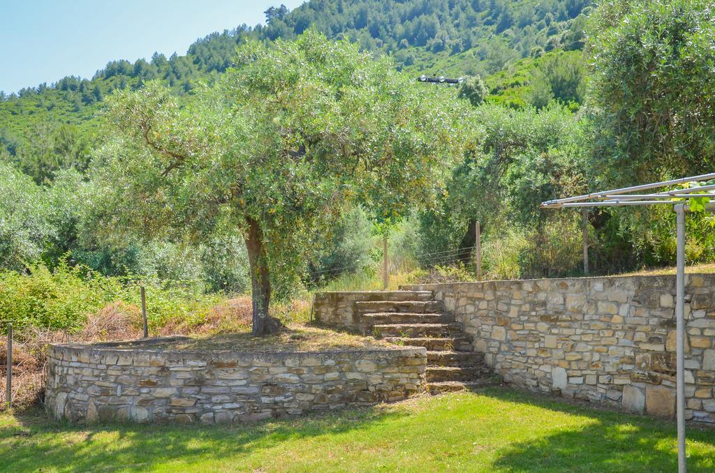 Pension Assos Коинира Экстерьер фото
